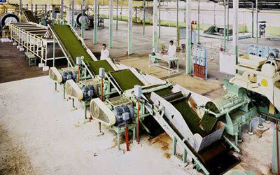 tea processing image